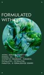 aveda men pure-formance