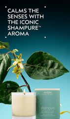 shampure